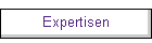 Expertisen