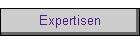 Expertisen